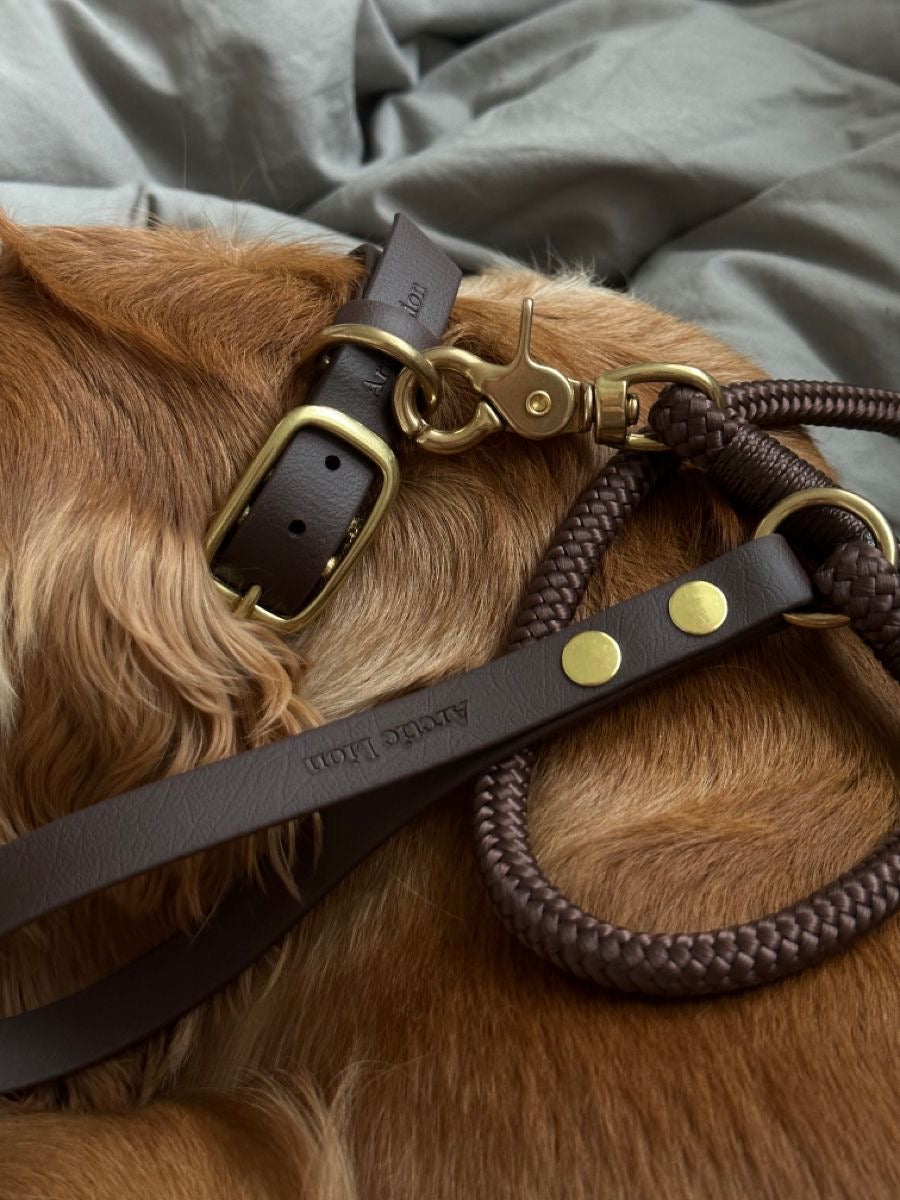 Juguetes y Accesorios Mascotas