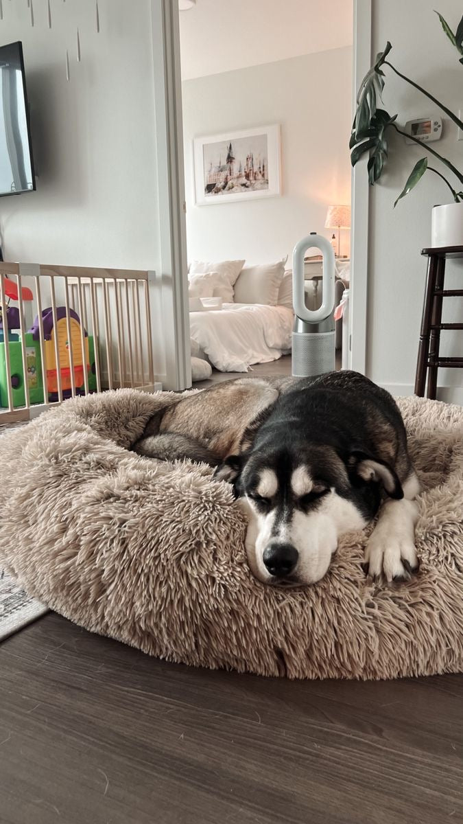 CAMA PELUDA PARA MASCOTAS D 60CM