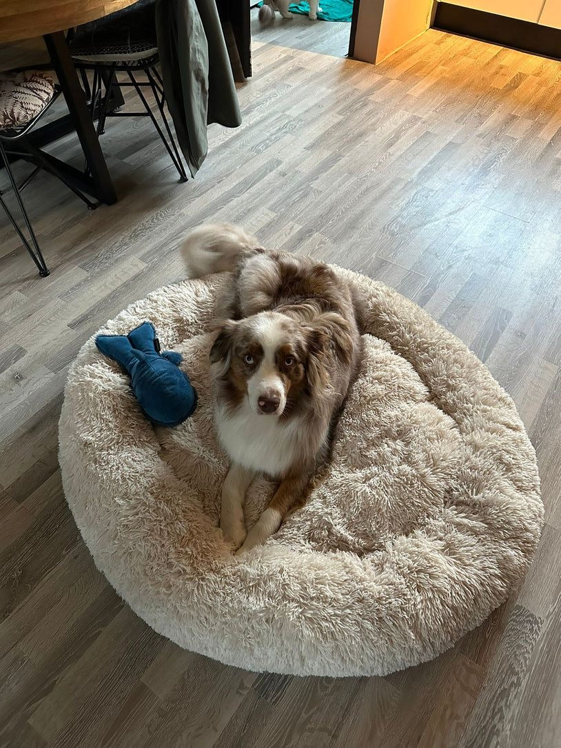 CAMA PELUDA PARA MASCOTAS D 60CM