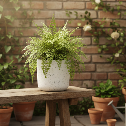 MACETERO DE PLÁSTICO TEXTURA MOTEADA - MEDIANA