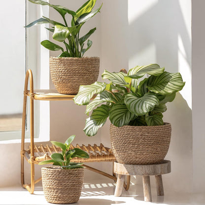 SET DE 3 CESTAS MACETERO TEJIDA FIBRA NATURAL